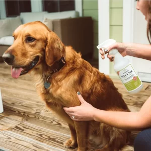 pet safe flea spray
