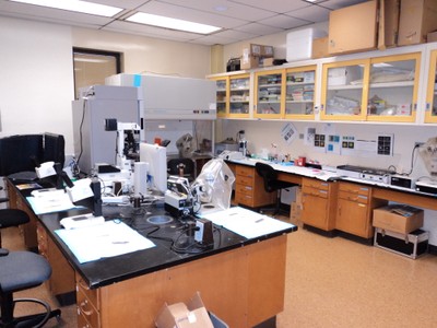 Reproductive Biology Research Program